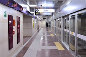 linea lilla